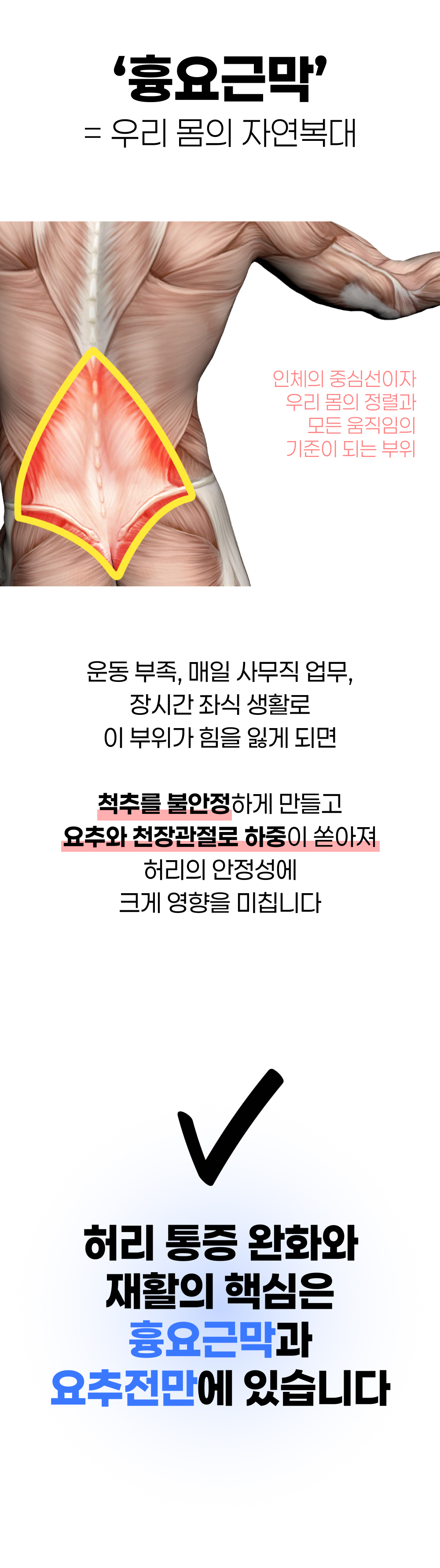 [CORELOCK] 흉요근막벨트 요추전만벨트 요추패드 다이얼 시스템 코어락