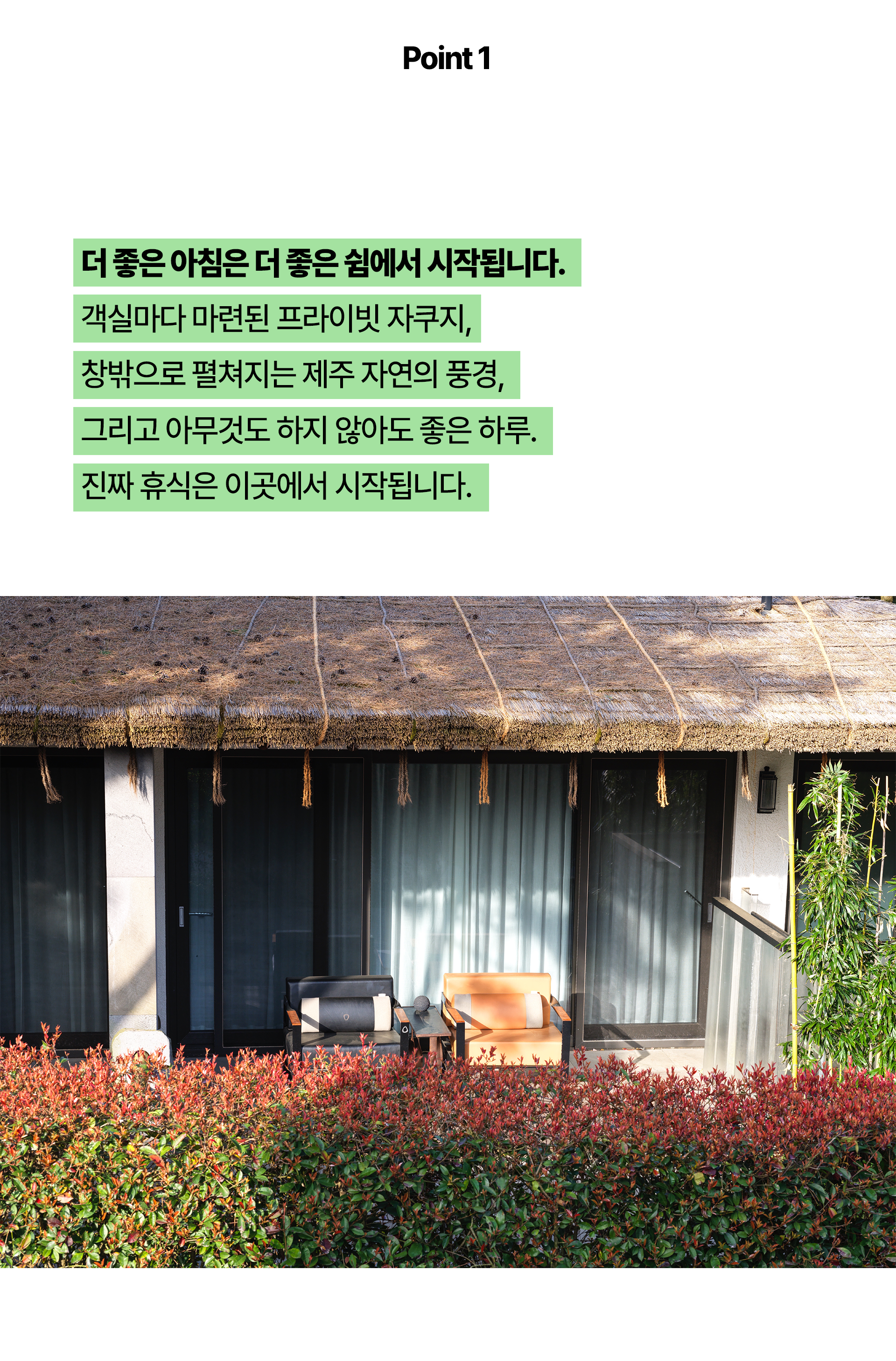 235310d1d08f9.png