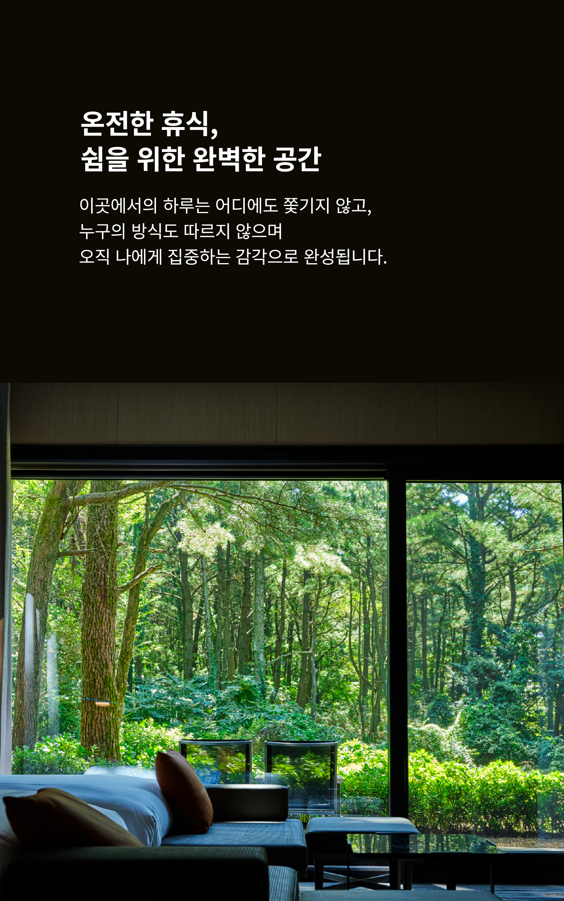 47002333d1705.png
