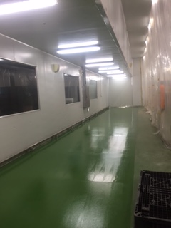 234368d545c9d.jpg