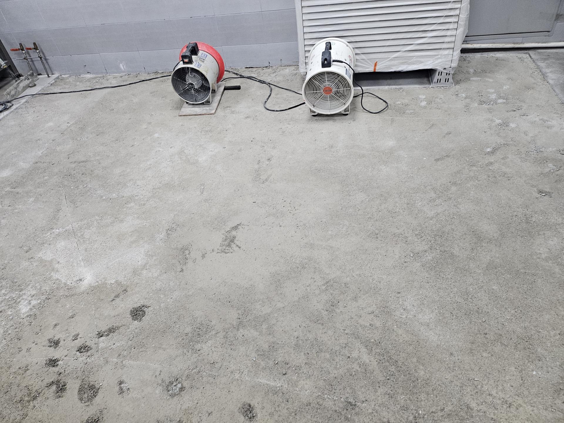 6428bd2fd675a.jpg