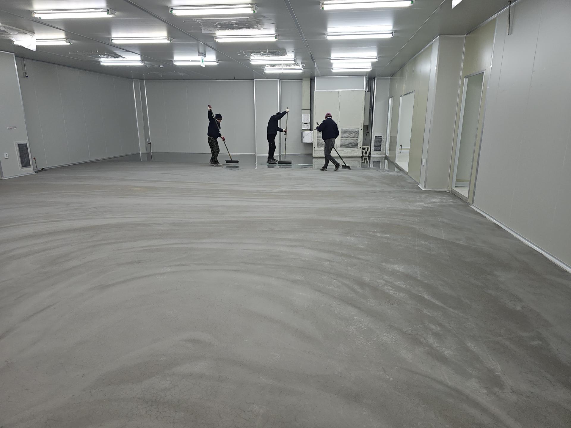 d41509866446e.jpg