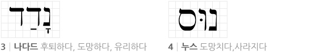 2921ecd64042f.png