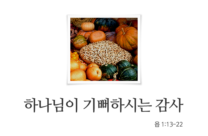 40bbdc7510586.png