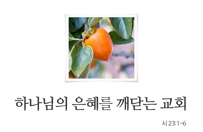 5c6b922b02946.png