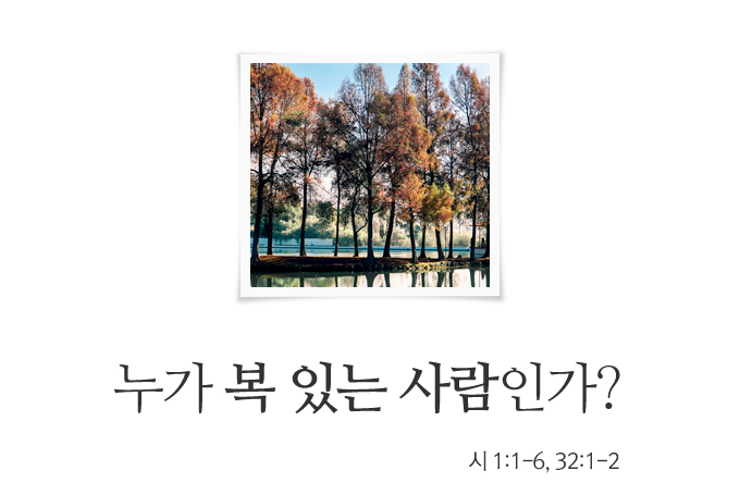a458866e14288.png
