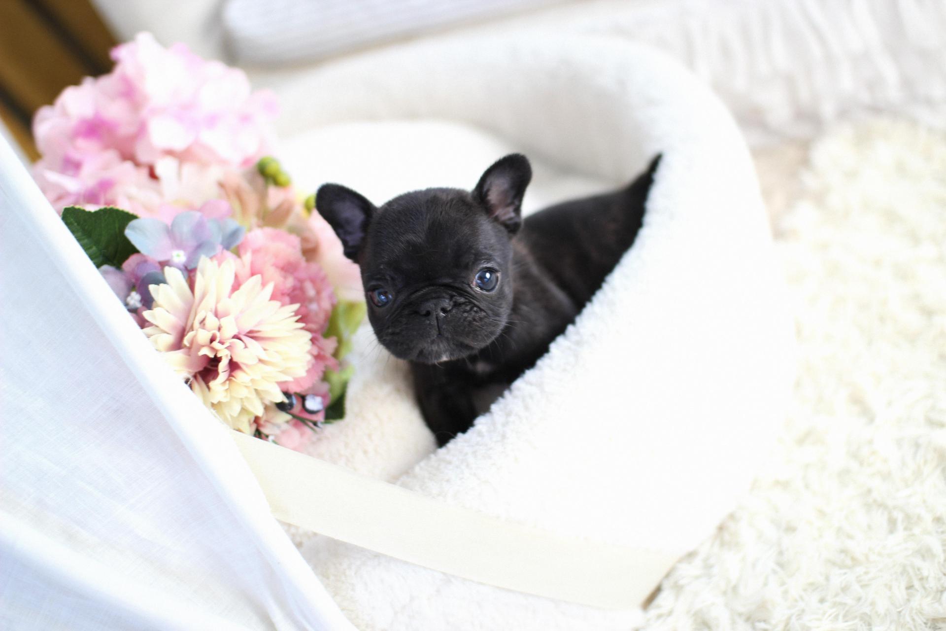 ae7796a70f6d0.jpg