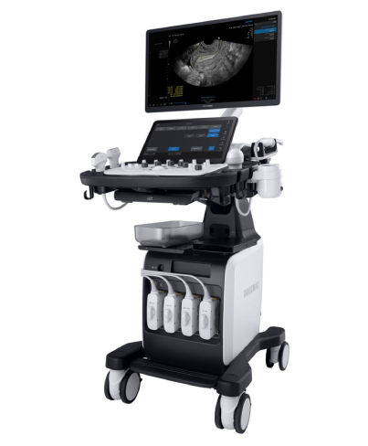 남성호르몬검사