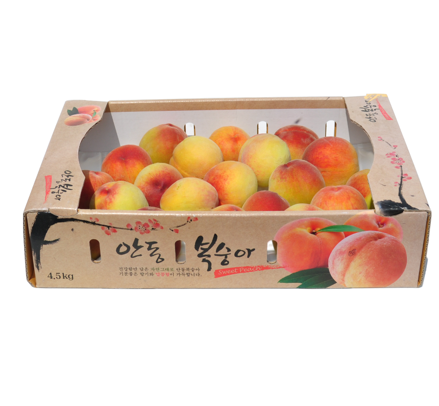 망고맛 황도복숭아 선물용 10kg
