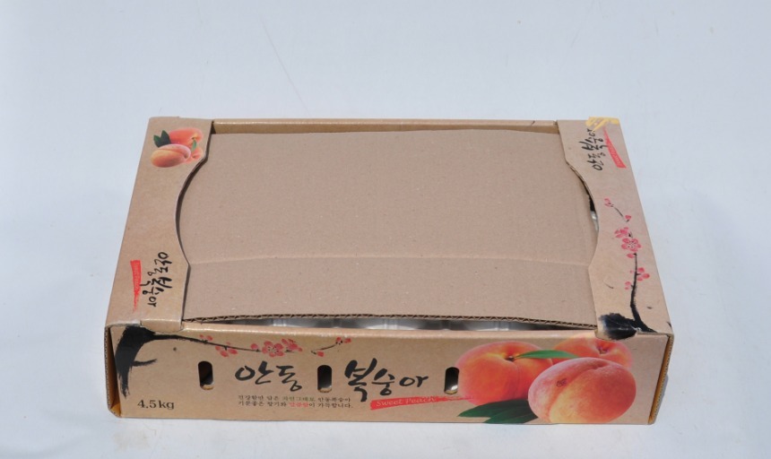 망고맛 황도복숭아 선물용 10kg