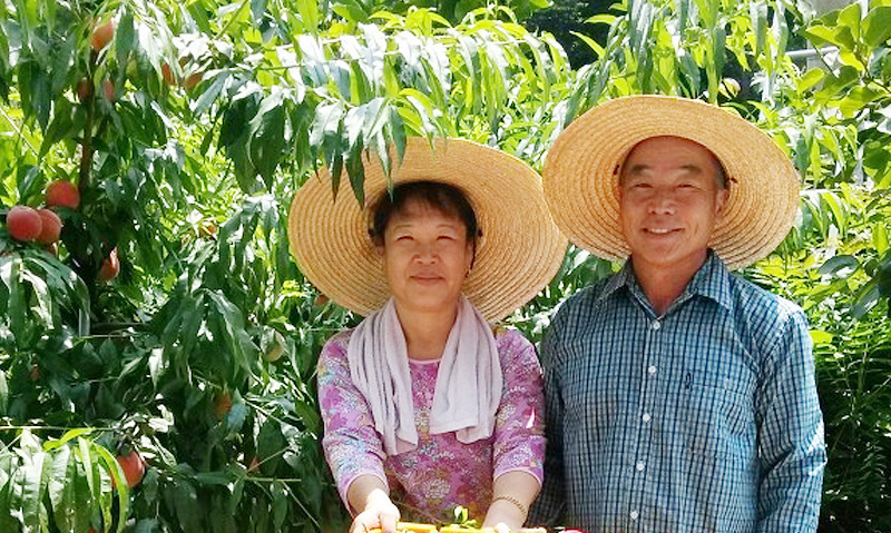 추희 왕자두 선물용왕특 5kg 이상(45과전후)