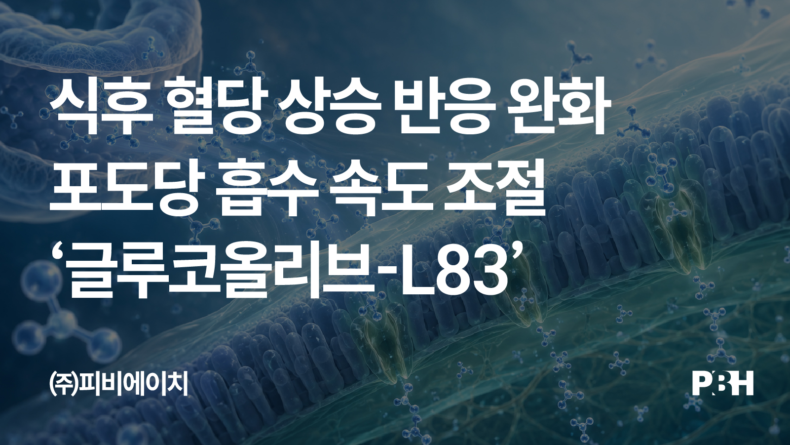 1c5bf4e21b033.jpg