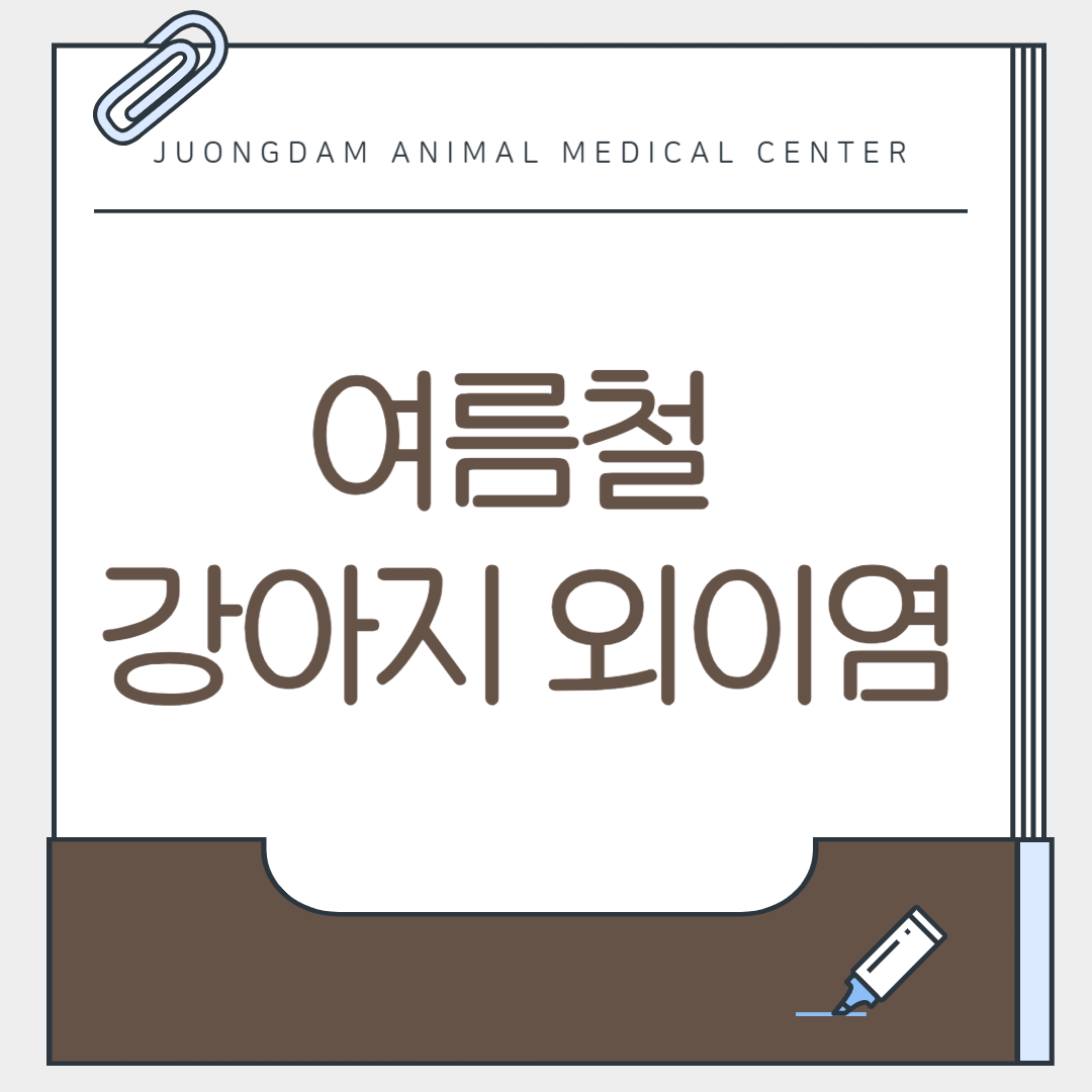 6e19630f51923.png
