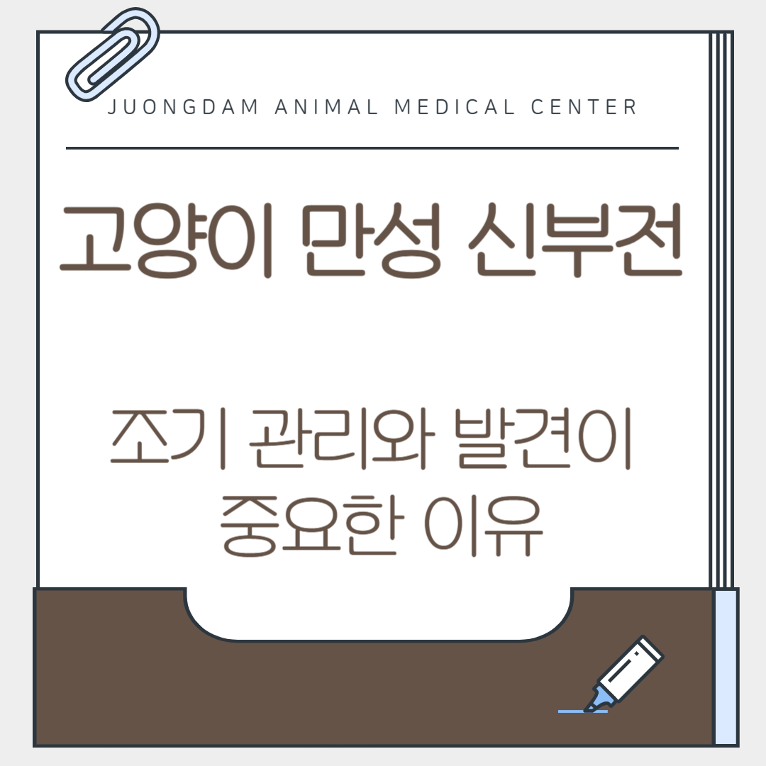 dc54f777eaa66.png