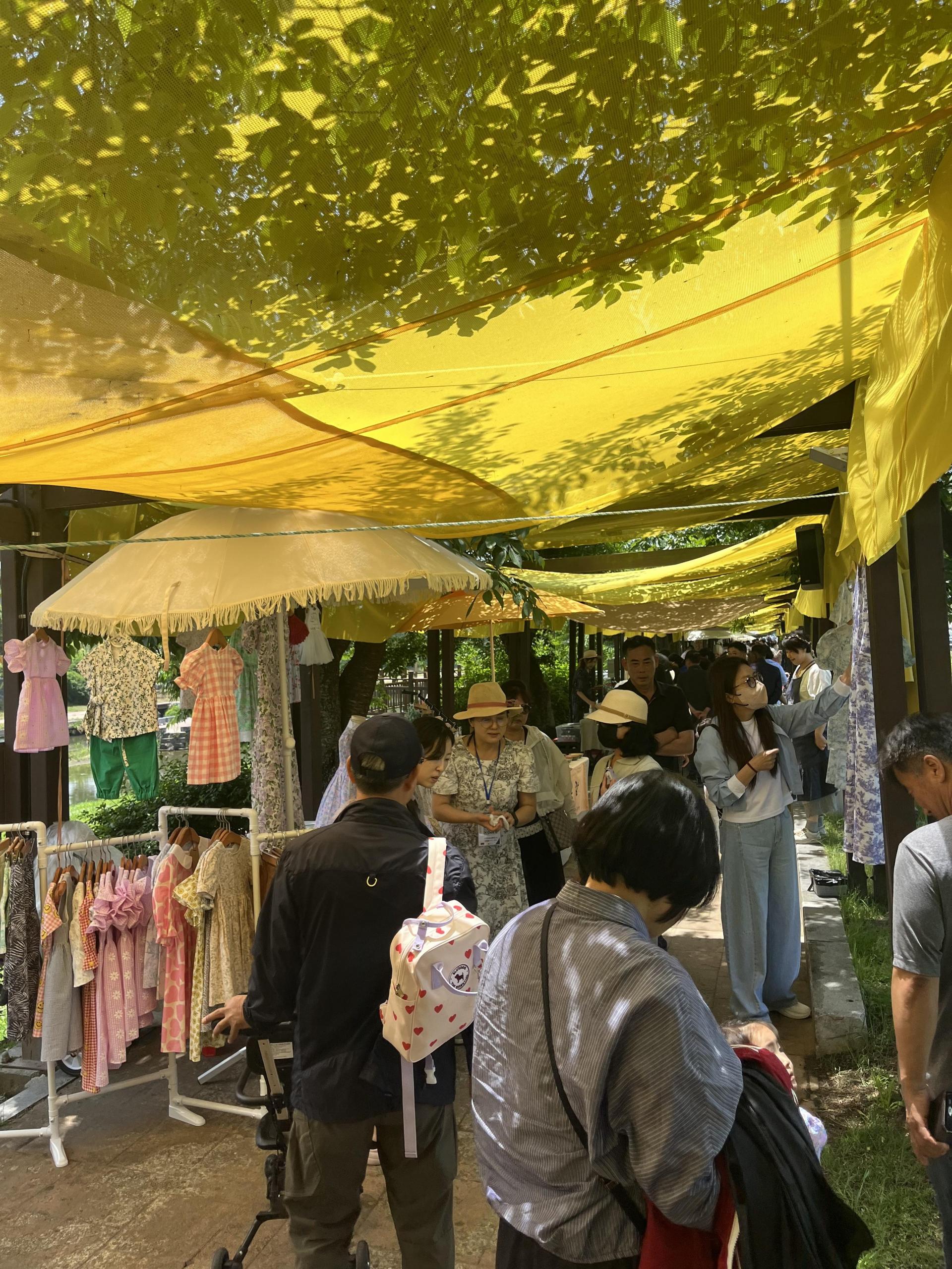 68a028cce7a45.jpg