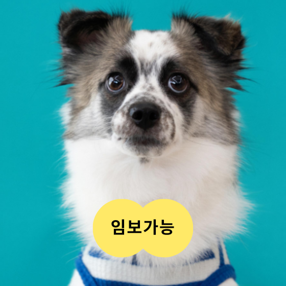 0123c8d6386d4.png