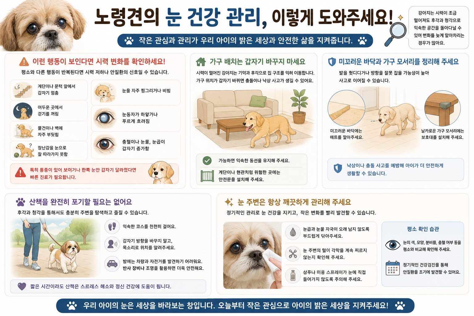 노견 눈 케어