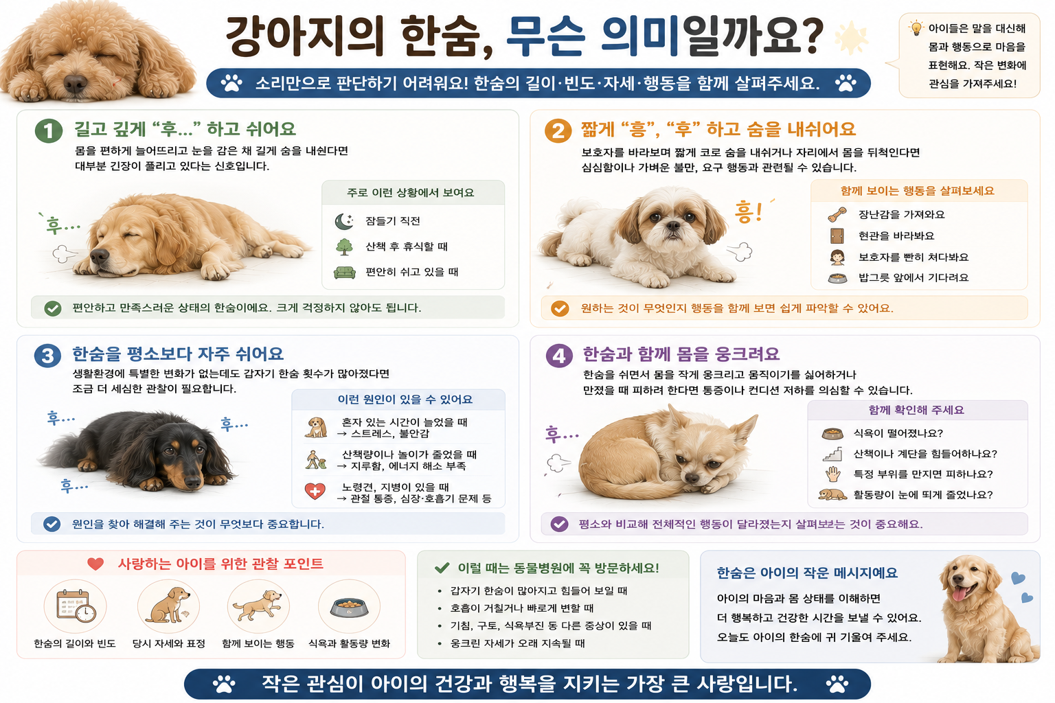 강아지 한숨 카밍시그널