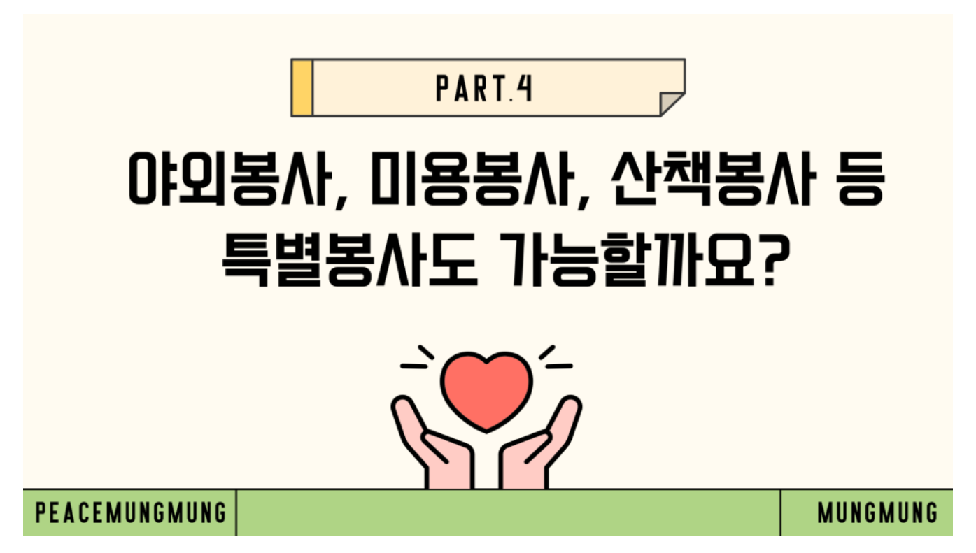 피스멍멍 자원봉사 야외봉사 산책봉사 미용봉사