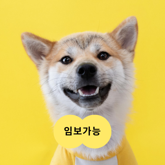 3dc7f2f8ad619.png