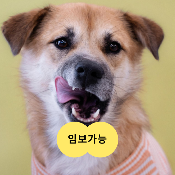 44de0a493d6c5.png