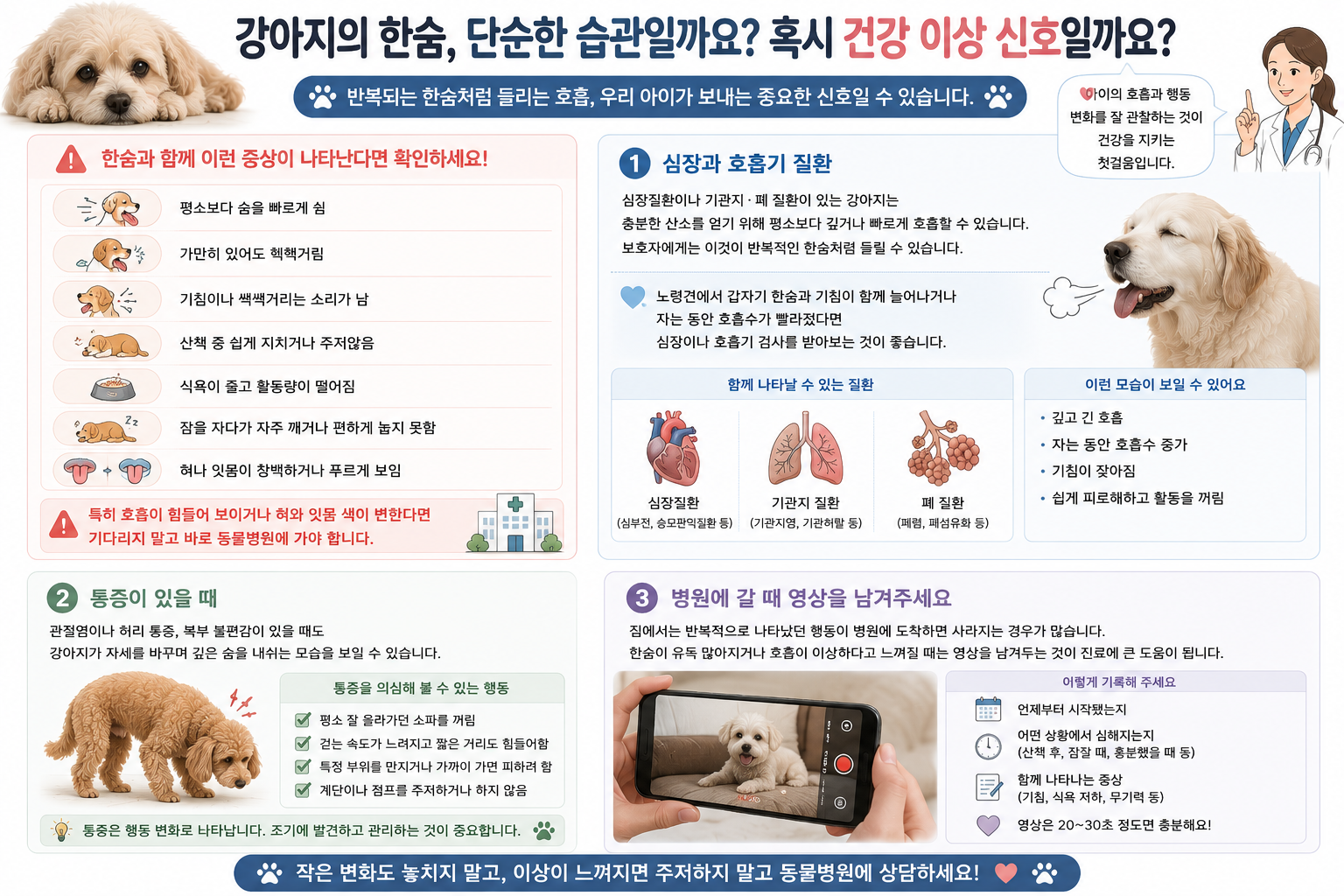 강아지 한숨 신호 노령견 한숨