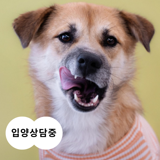 94340117be28d.png