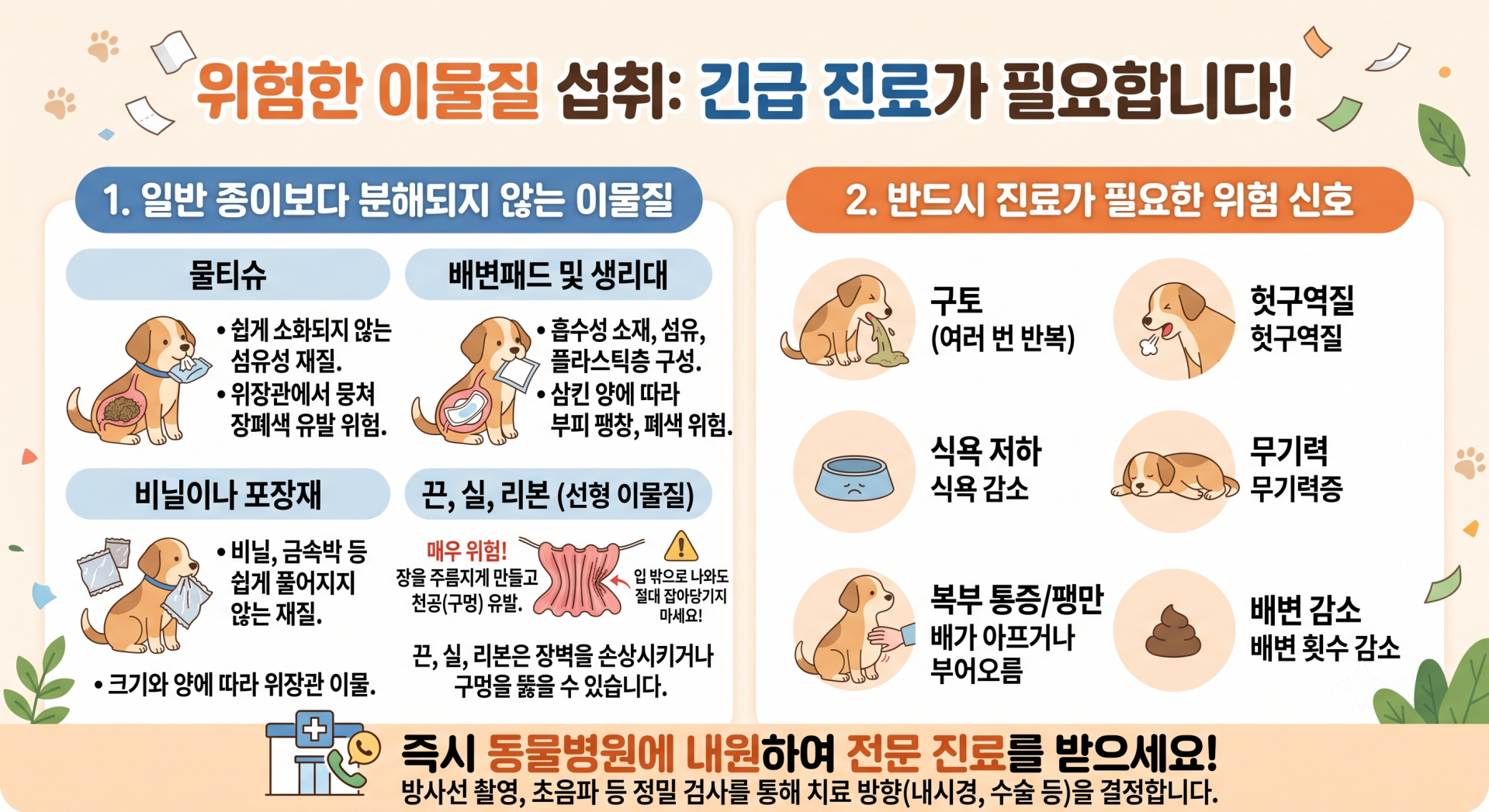 강아지 종이 섭취 예방 및 사후 관리 가이드