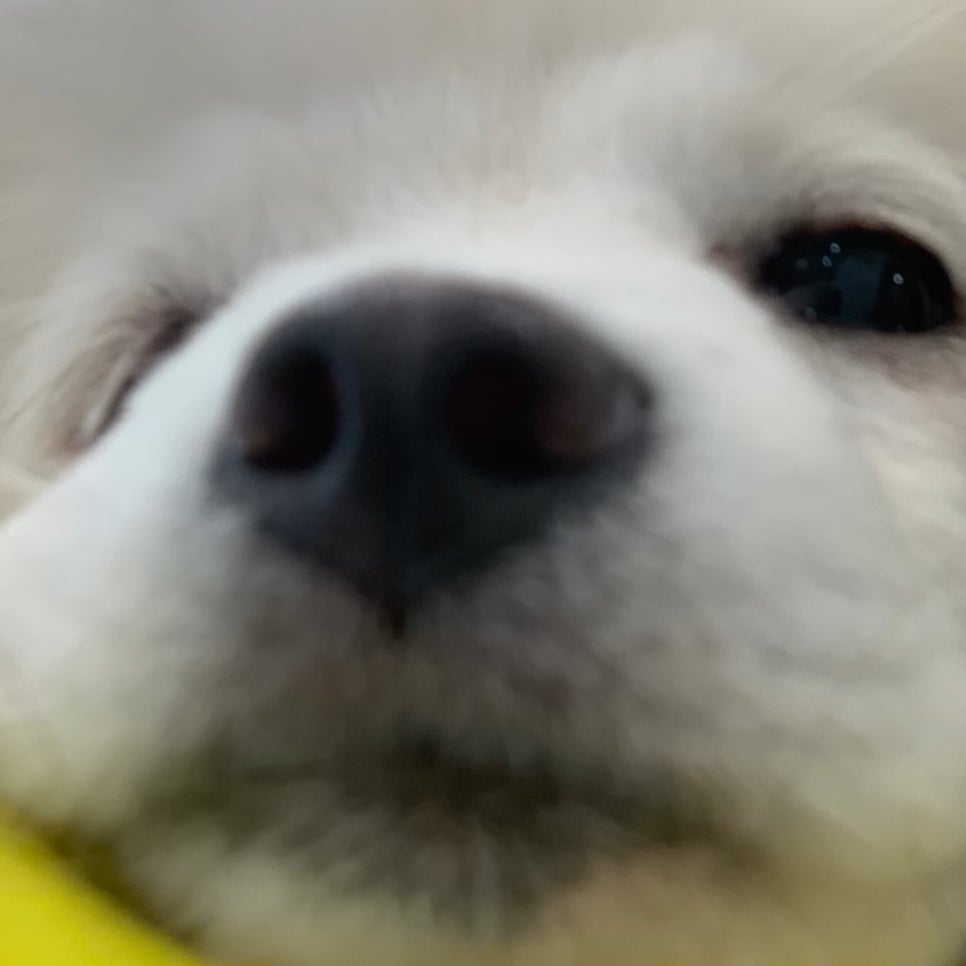 KakaoTalk_20250914_222925030.jpg
