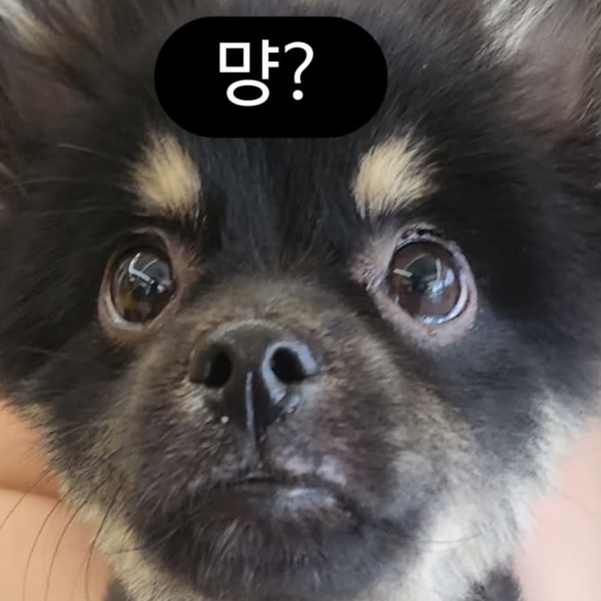 KakaoTalk_20250914_224059720_01.jpg