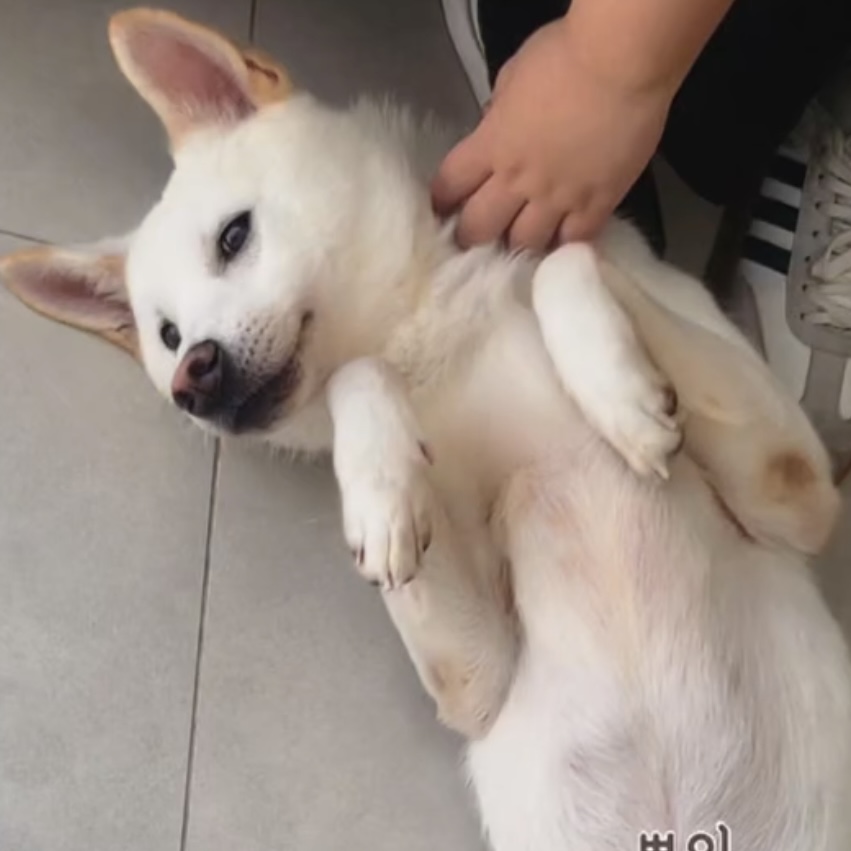 KakaoTalk_20250914_224059720.jpg