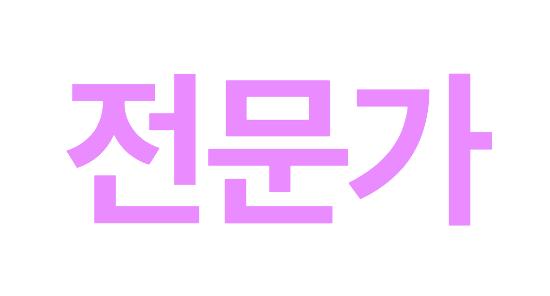 전문가