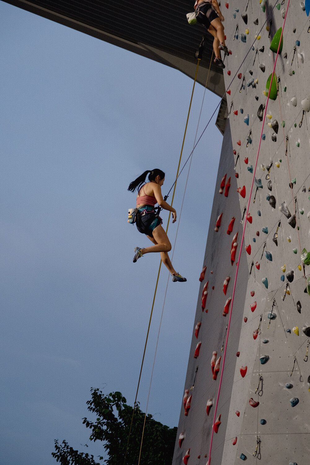8e02829e60d9d.jpg