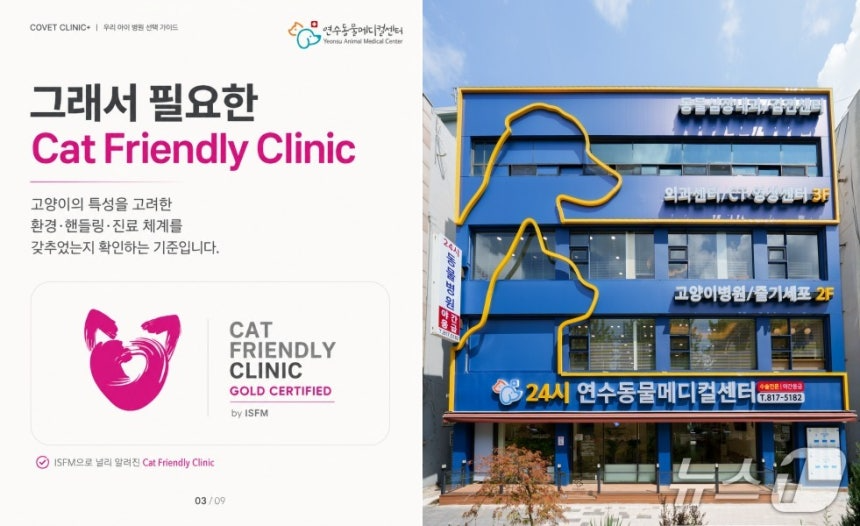 고양이 친화 병원 ISFM 인증을 받은 연수동물메디컬센터(동물병원 제공) ⓒ 뉴스1