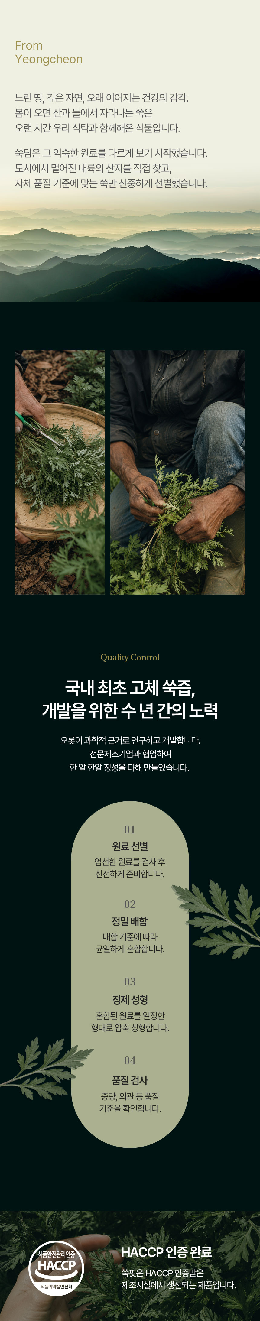 쑥핏