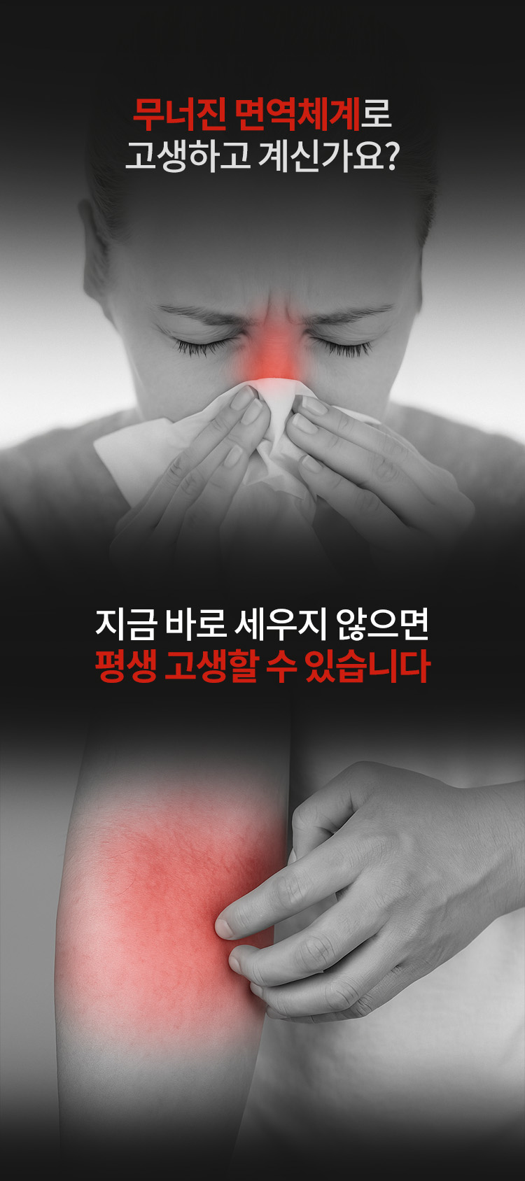 퀘르파인 잇리스