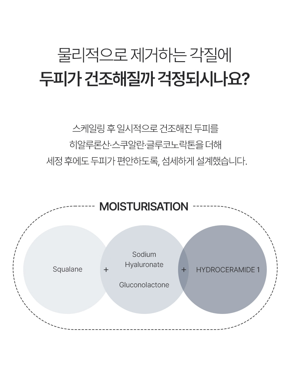 포셰리 비울 두피스케일러