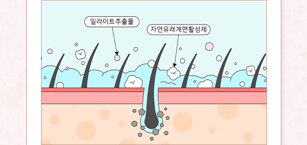 임산부샴푸