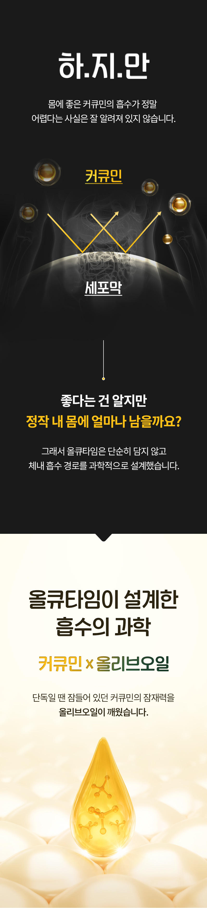 홀하모니 올큐타임