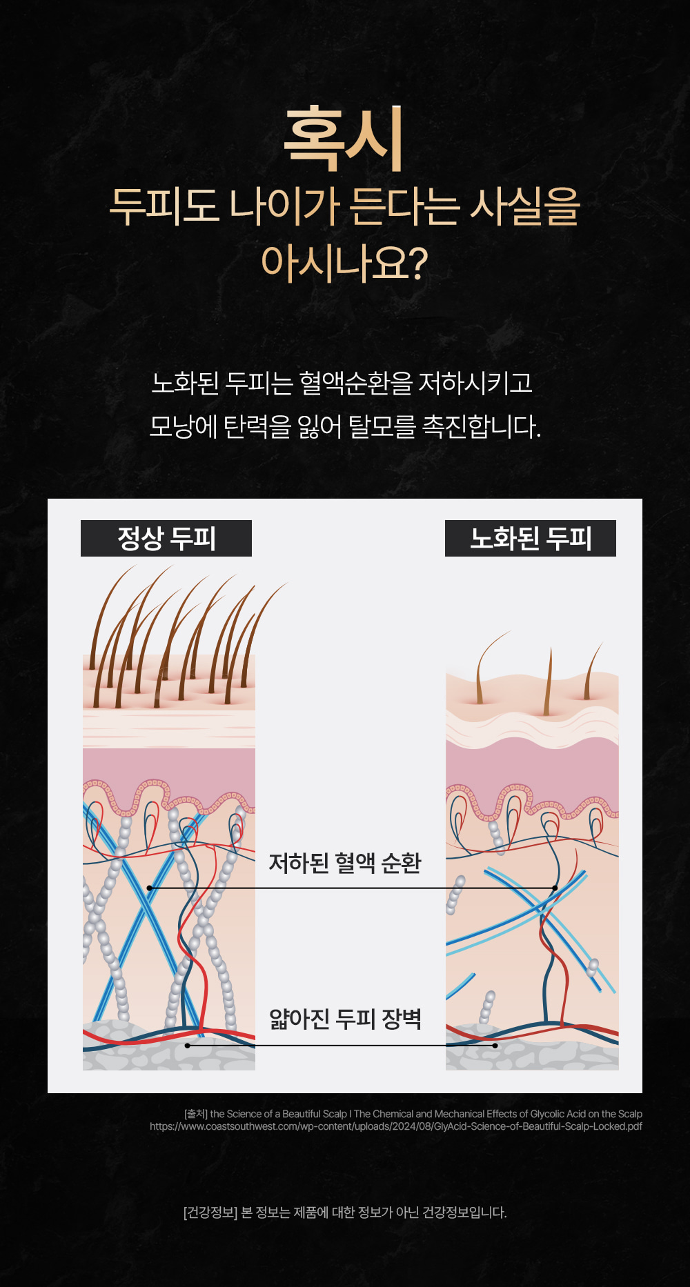 포셰리 채울 샴푸