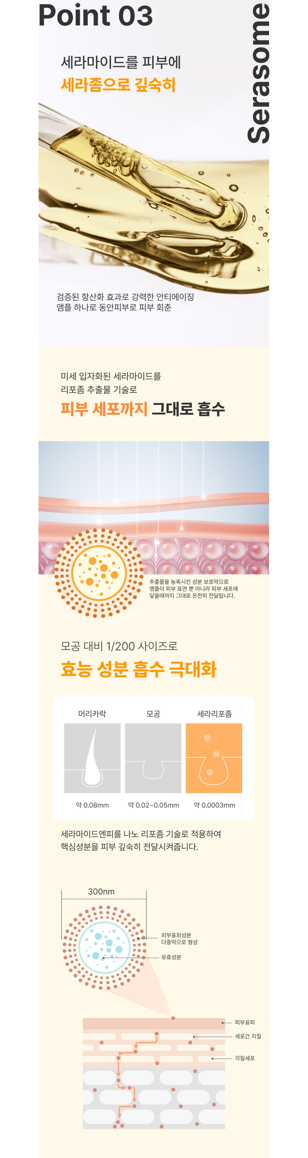 화장품 상품 이미지-S1L4