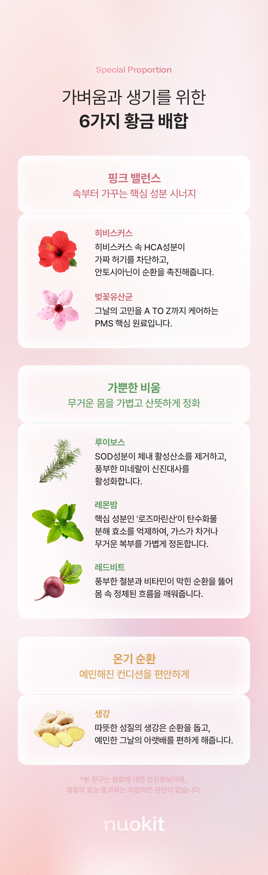 누오킷 사쿠라블룸티