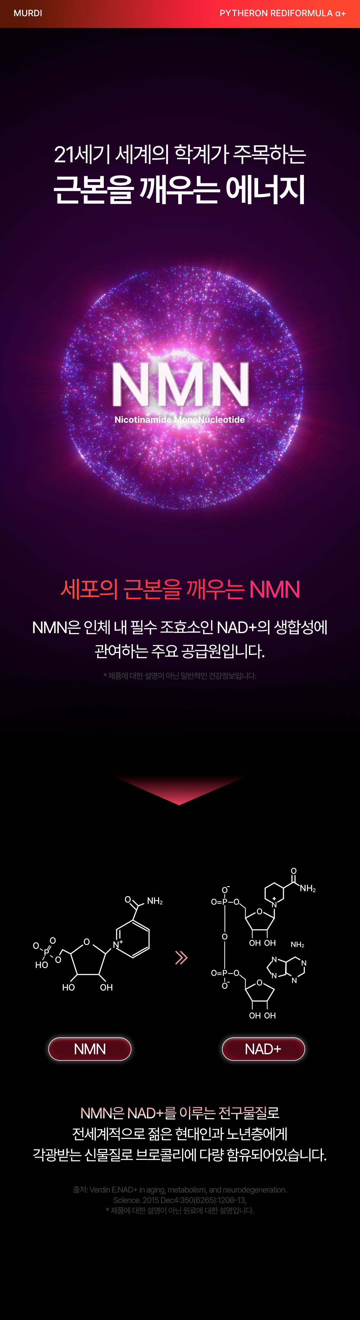 뮤르디 파이테론 레디포뮬러 α+