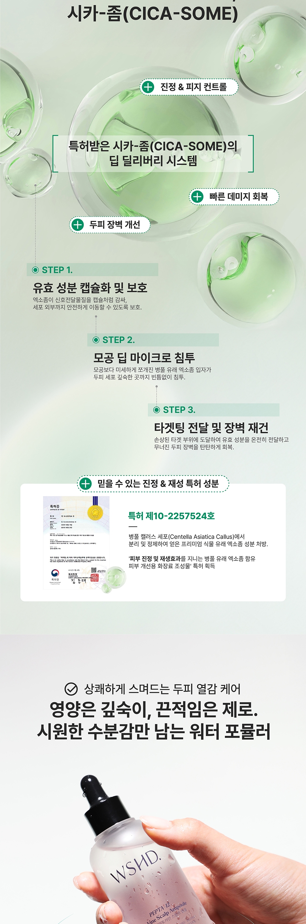 펩타-12 사이토카인 스칼프 앰플