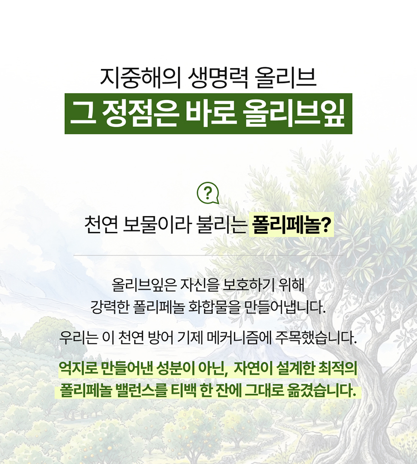 럽티 레몬녹차 복제