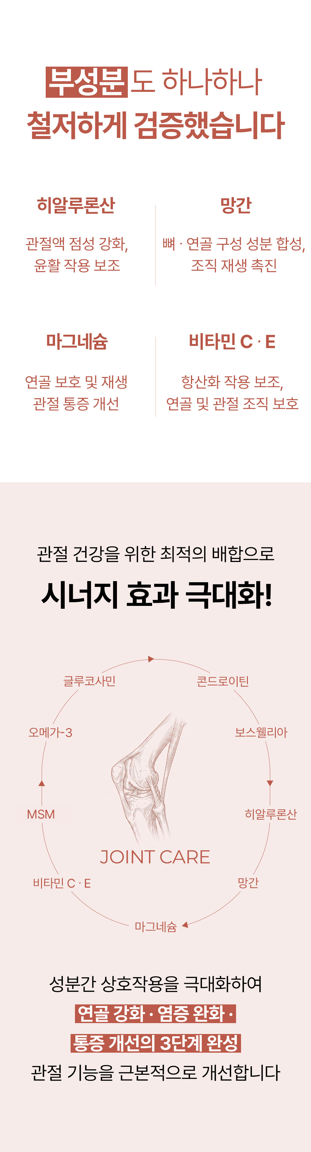진정성 GC 관절 영양제