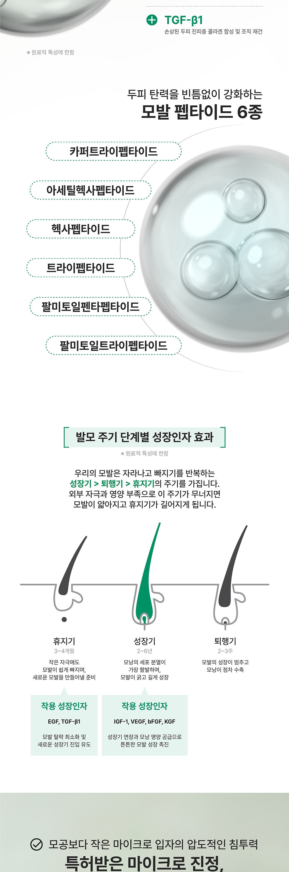 펩타-12 사이토카인 스칼프 앰플