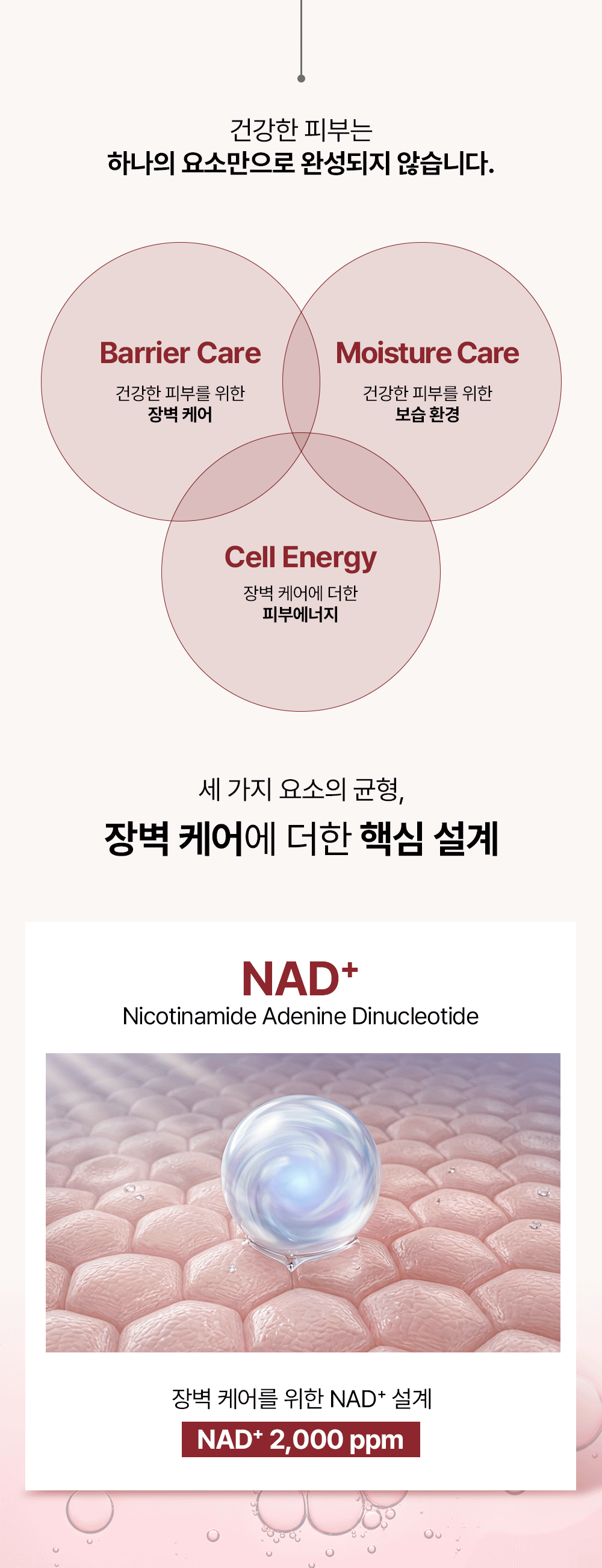피코덤 NAD+ 리포좀 크림