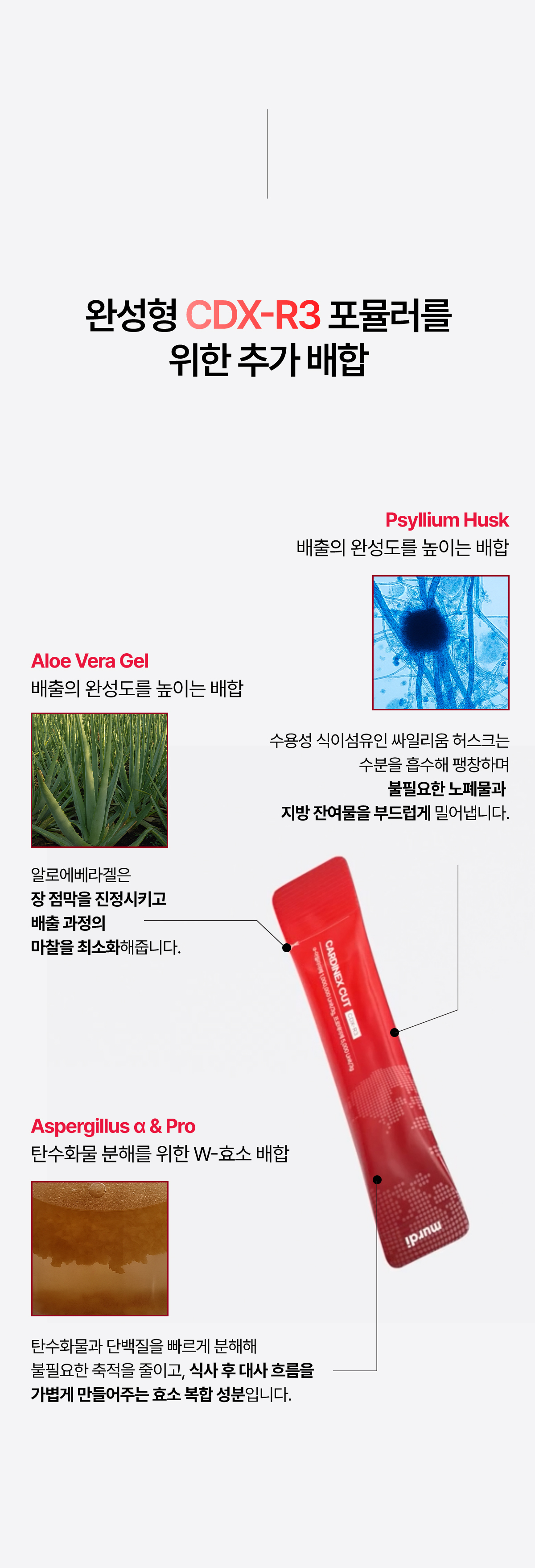 뮤르디 카디넥스 컷 CDX-R3