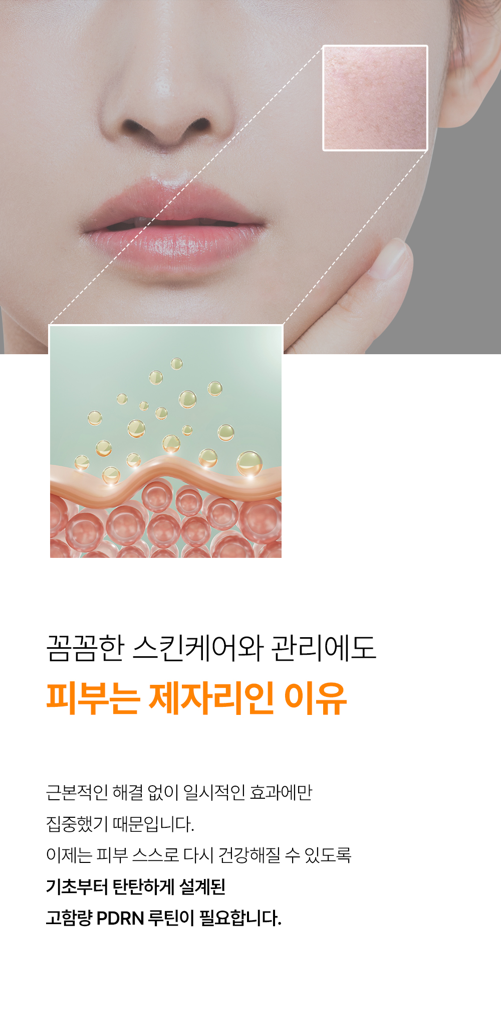 리마쥬원 피디알엔 리쥬비네이팅 크림